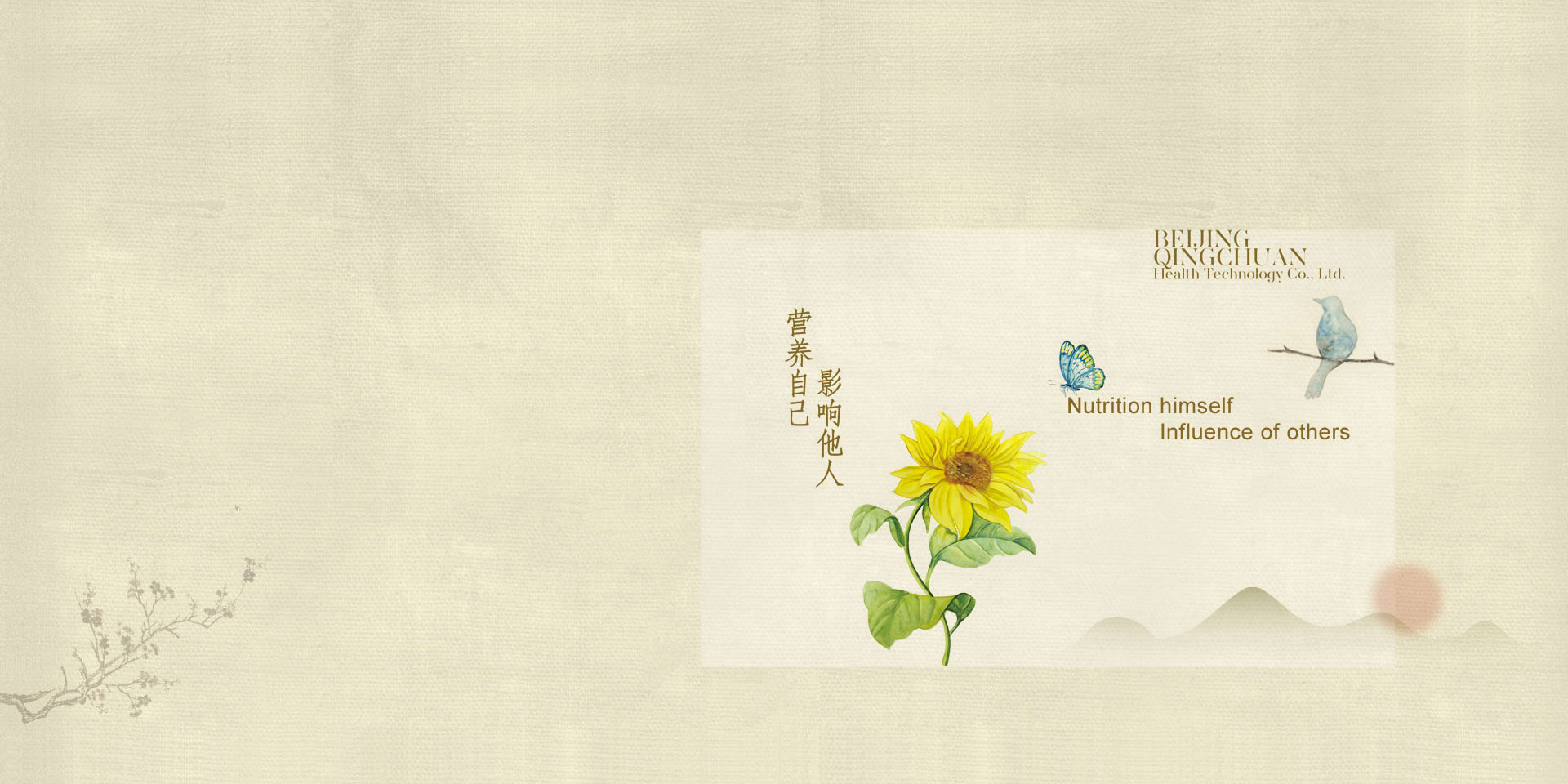 安全 放心  绿色 健康